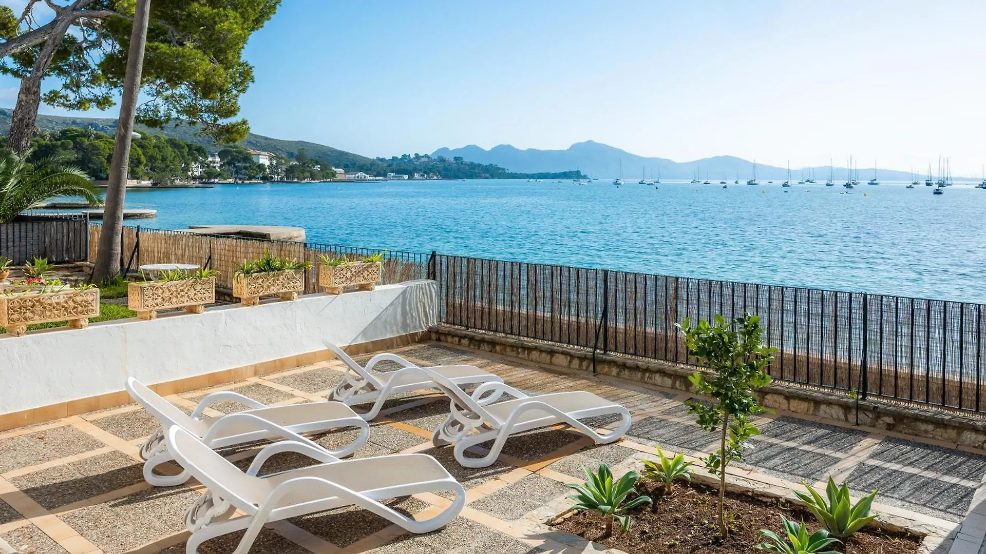 Can Vidal Des Port De Pollensa Port de Pollença Appartement